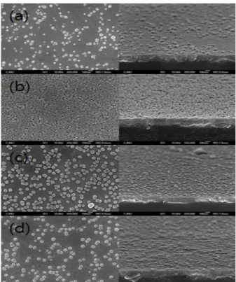 Fig.  4.  Surface  and  tilt  FE-SEM  image  of  ZnS  film  grown  with  the  ammonia  solutions  molarity