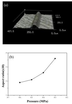 Fig.  6.  Pressure  variation.  (a)  3D  image  and  (b)  aspect  ratio.