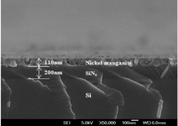 Fig.  5.  Surface  FE-SEM  image  of  the  nickel  manganite  thin  films;  (a)  as-spun,  (b)  heat-treated  at  400℃  and  annealed  at  (c)  500℃,  and  (d)  800℃