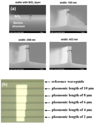 Fig.  4.  Epi-structure  of  plasmonic  waveguide.