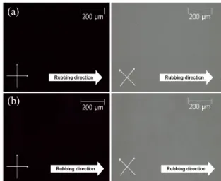 Fig.  2.  POM  images  of  LC  cells  on  rubbed  PI  surface. 