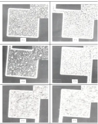 Fig.  8.  Comparison  of  PAD  hillocks  after  alloying.  (a)  not  implanted,  Sub.  Temp