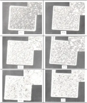 Fig.  9.  Comparison  of  PAD  hillocks  after  alloying.  (a)  implanted:  B  30  keV,  1×10 15  ㎝ -2 ,  Sub