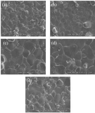 Fig.  2.  Microstrocture  of  (a)  1,360℃,  (b)  1,400℃,  (c)  1,420℃,  (d)  1,440℃,  and  (e)  1,480℃  specimens  as  a  function  of  sintering  temperature