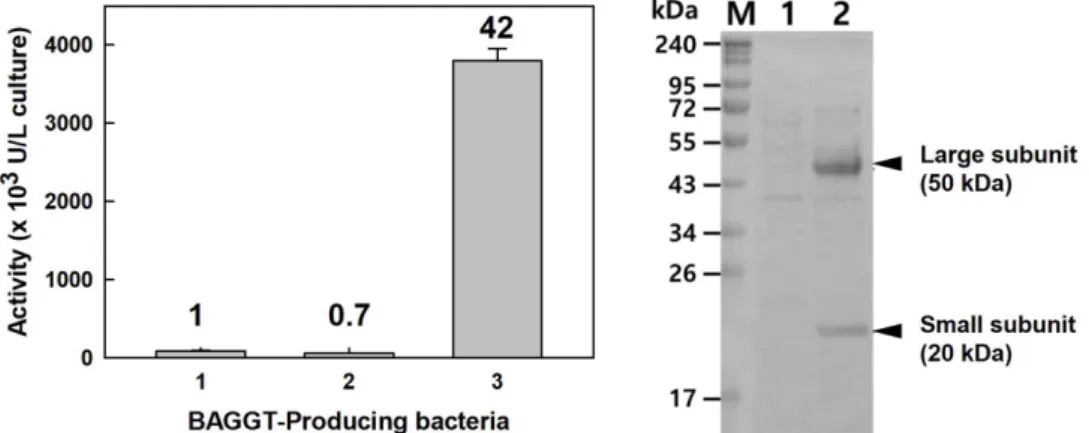 Fig. 3. Effects of C-sources and N-sources on BAGGT production in  B. subtilis harboring pUBRTAG-BAGGT