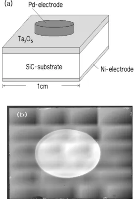 Fig.  2.  Structure  of  (a)  the  sample  and  (b)  photograph.    