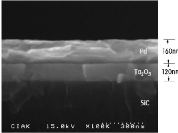 Fig.  5.  The  adsorption  and  penetration  of  hydrogen  on  the  palladium  metal.