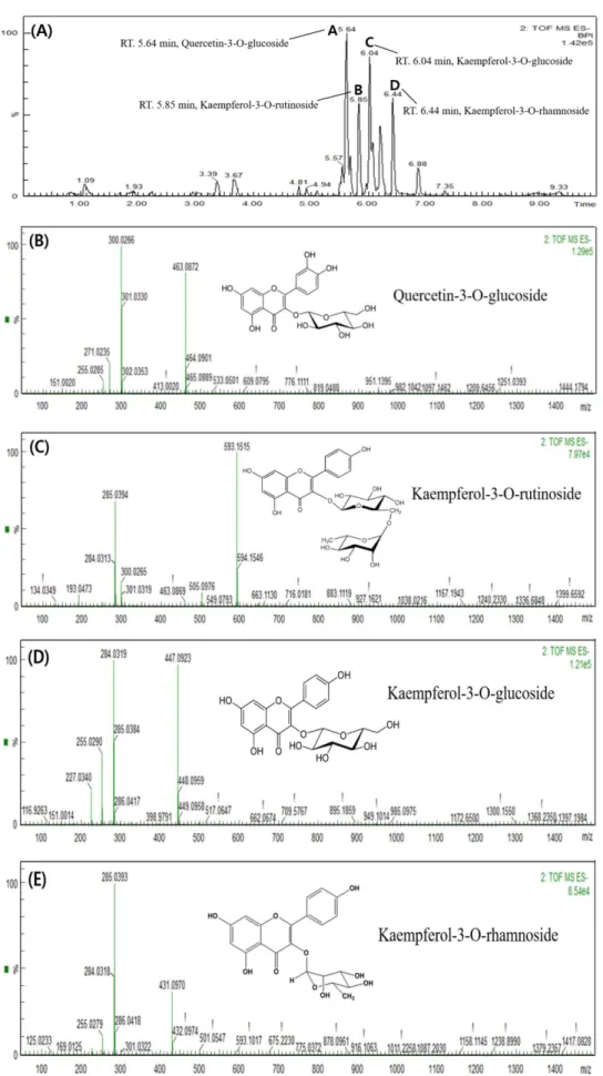 Fig. 8. Total ion chromatogram and LC-MS e  product ion spectra of the four most intense compounds detected for ethyl acetate (EtOAc) fraction from  Orostachys japonicus A