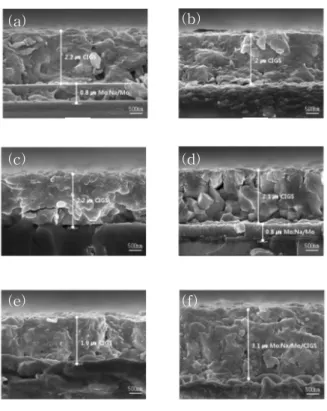 Fig.  4.  Cross-sectional  SEM  micrographs  of  the  CIGS  thin  films;  (a)  1,000  ㎚  Mo,  (b)  100  ㎚  Mo:Na-900  ㎚  Mo,  (c)  200  ㎚  Mo:Na–800  ㎚  Mo,  (d)  300  ㎚  Mo:Na–