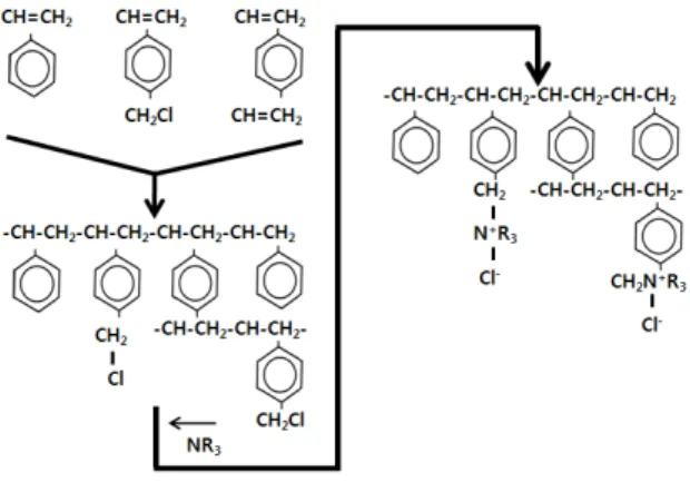 Fig.  2.  Manufacture  process  of  anion  exchange  membrane.