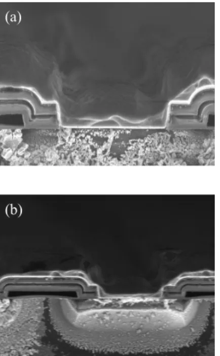 Fig.  5.  SEM  image  of  vertical  structure.  (a)  contact  area,  (b)  junction  area
