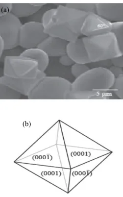 Fig.  3.  SEM  image  of  the  product  synthesized  by  thermal  evaporation  of  ZnF 2   powder  in  air