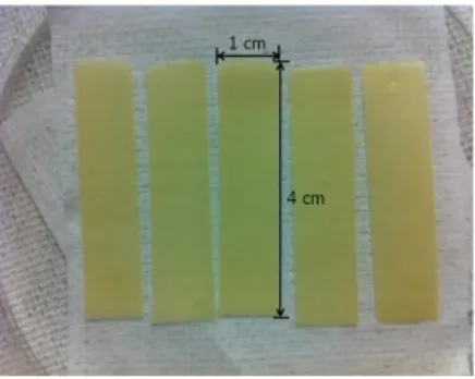 Fig.  1.  Photography  of  TiO 2   nanotube  (TNT)  membrane  fabricated  by  anodizing  method.