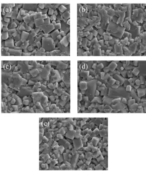 Fig.  2.  The  scanning  electron  microscopy  (SEM)  of  pecimens  as  a  function  of  the  amount  of  KNbO 3