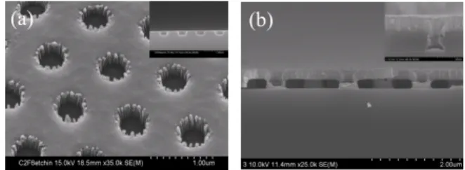 Fig.  3.  SEM  images  of  patterned  polymer  resist  (a)  top  view,  (b)  side  view.
