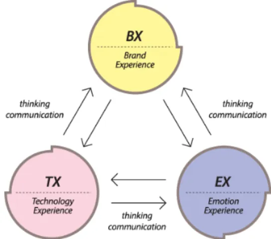 Fig.  8.  Brand  Experience  Relationships. 