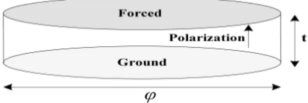 Fig.  1.  Specification  of  piezoelectric  devices.