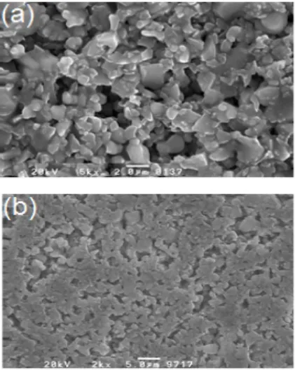 Fig.  6.  Surface  morphologies  of  green  sheets  with  6.5  vol%  of  PVB  and  P/B  ratio=0.4:  (a)  top  and  (b)bottom  view