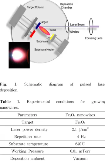 Fig.  1.  Schematic  diagram  of  pulsed  laser                    deposition.