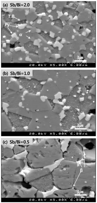 Fig.  3.  Microstructure  of  ZBS(MCo)  (Sb/Bi=2.0,  1.0,  and  0.5)  systems  sintered  at  1,000℃ (T