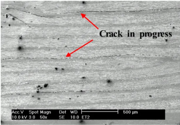 Fig.  12.  SEM  micrograph  of  zone  6  stator  winding.