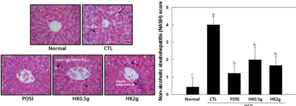 Fig. 7. NASH score and histopathological findings of liver tissue by extracts of  Asp