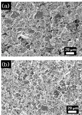 Fig.  1.  SEM  micrographs  of  KNLNT/epoxy  composites  with  different  volume  fractions  of  (a)  φ =  0.70  and  (b)  φ =  0.85,  respectively.