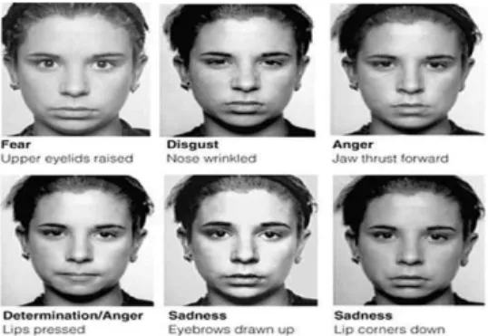 Fig. 4와 같이 에크만(Paul Ekman)의 6개의 감정의 분류 별 얼굴 표정을 훨씬 넘어서는 다양한 얼굴인식프로그램 이 발전되어, 개인의 감정변화에 따른 수많은 얼굴표정 데이터들이 클라우드 시스템(cloud system) 9) 에 연동되 어 저장되고 분석되고 있다[10,11].