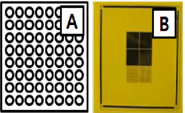 Fig.  5.  (a)  Schematic  model  of  the  micro  pillar  structure,  (b)  processing  pattern  mask.
