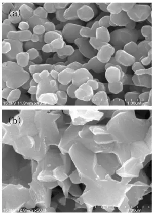 Fig.  3.  SEM  micrograph  of  Ga  doped  ZnO  target’s  powder:  (a)  sintered  at  700℃ (b)  sintered  at  800℃.