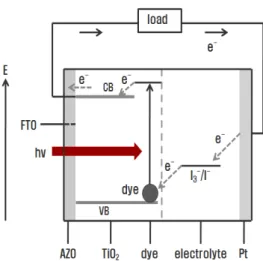 Fig.  1.  Schematic  energy  diagram  of  AZO/TiO 2 /dye/electrolyte/Pt  dye-sensitized  solar  cells