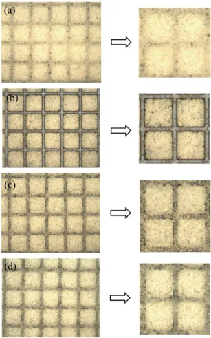Fig.  2.  Area  measurement  of  driven  particles.  (a)  photomicrograph  of  white  and  black  particles,  (b)  area  of  black  particles,  (c)  area  of  white  particles.
