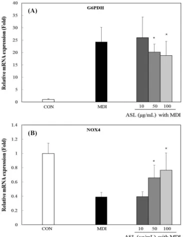 Fig. 3. Effect of  Allium senescens L. (ASL) on ROS production during adipogenesis of 3T3-L1 preadipocytes