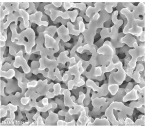 Fig.  5.  The  SEM  image  of  ATN  thick  film.