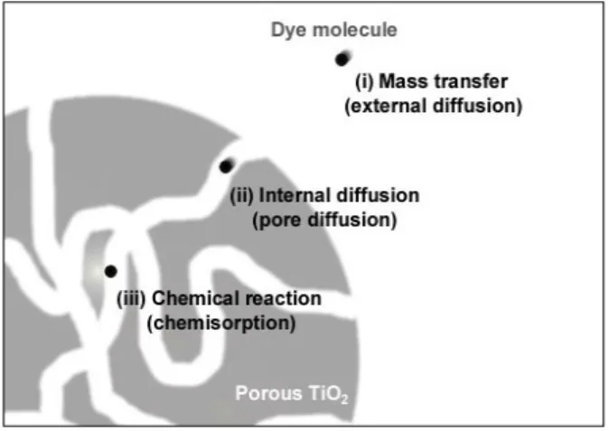 Fig.  1.  Conceptual  step  for  the  adsorption  process  of  dye  molecules  onto  nanoporous  TiO 2   particles.