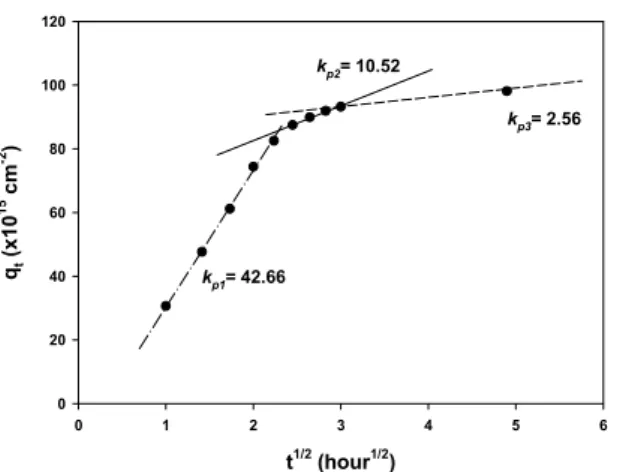 Fig.  6.  Pesudo-second  order  adsorption  kinetics  of  N3  onto  TiO 2   film.