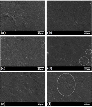 Fig. 3. Microstructure  of  BBNTM-x  (0≤x≤0.05)  ceramics  sintered  at  1,310℃;  (a)  x=0,  (b)  x=0.01,  (c)  x=0.02,  (d)  x=0.03,  (e)  x=0.04,  (f)  x=0.05