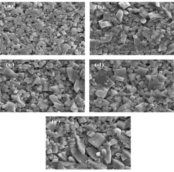 Fig.  1.  SEM  micrographs  of  specimens  as  a  function  of  KCT  concentration.  (a)  0.3  mol%,  (b)  0.6  mol%,  (c)  0.9  mol%,  (d)  1.2  mol%,  (e)  1.5  mol%