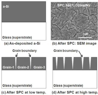 Fig.  10.  The  schematic  drawings  of  the  Si  thin  film  structure:  (a)  as-deposited  a-Si  thin  film,  (b)  SEM  image  observed  on  the  sample  surface  after  SPC  process  at  680℃/32  min/N 2 ,  (c)  crystallized  Si  thin  film  after  SPC 