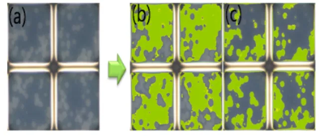 Fig.  3.  Area  measurement  of  driven  particles.  (a)  photomicrograph  of  white  and  black  particles,  (b)  area  of  black  particles,  (c)  area  of  white  particles.
