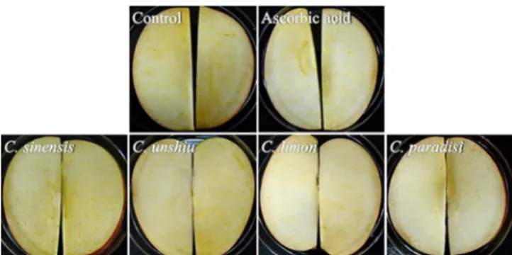 Fig. 1. Changes in the appearance of apple slices added with 0.1% various citrus peel extracts after 48 h at room temperature.