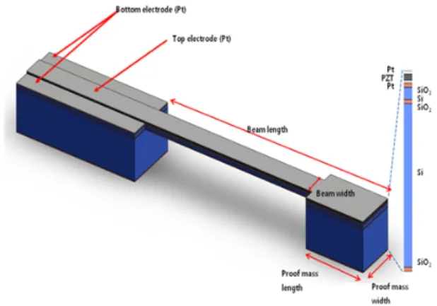 Fig.  1.  Schematic  view  of  the  layer  structure  of  the  cant-  ilever  device.