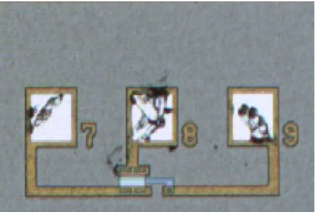 Fig.  1.  Microscope  image  of  the  p  channel  poly-Si  TFT  for  top  view  (X1000).