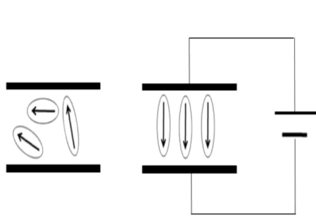 Fig.  1. Polarization  of  piezoelectric  material.