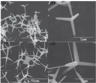 Fig.  2.  X-ray  diffraction  patterns  of  the  product  synthesized  by  thermal  oxidation  of  Zn  powder  with  different  amounts  at  930℃ in  air  atmosphere:  (a)  0.5  g,  b)  1.0  g.