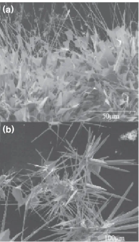 Fig.  4.  SEM  images  of  the  ZnO  nanostructures  collected  from  the  yellow  products  which  were  synthesized  by  thermal  oxidation  of  Zn  powder  with  different  amounts  in  air  atmosphere:  (a)  0.5  g  and  (b)  1.0  g.