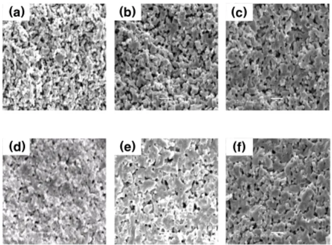 Fig.  4.  Dielectric  properties  of  NLC  ceramics.