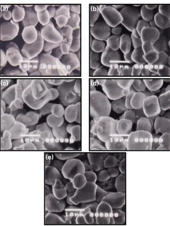 Fig.  4.  PLE  spectra  of  ZnS:Mn,Sm  phosphors  for  various    Sm  concentration.