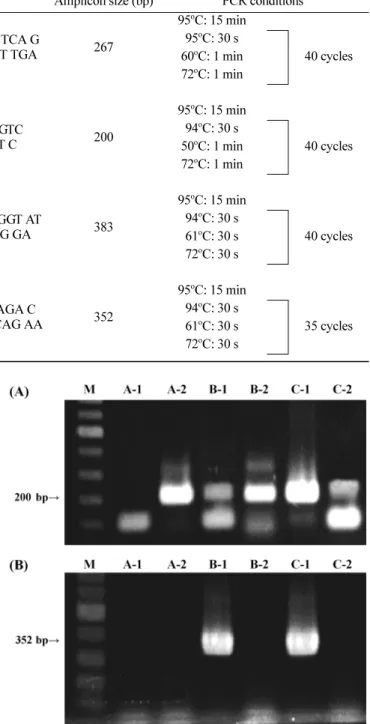 Fig. 2. Detection of hepatitis A and E virus from swine faeces using nested RT-PCR. The amplified gene sizes of VP1-P2A (200bp) and RdRp (352bp) were HAV (A) and HEV (B), respectively