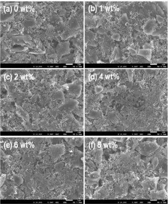 Fig.  1.  FE-SEM  images  with  variation  of  Super  P/MWCNT  content.